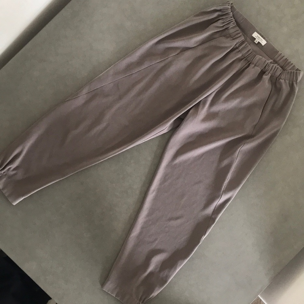 Aritzia Babaton Pants